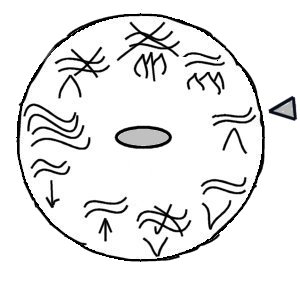 Oitn druh disk